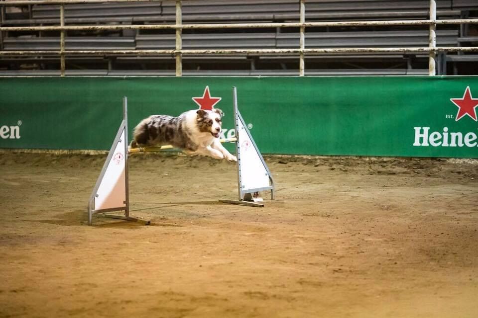 Du Domaine De La Sinoe - Concours d'Aix en Provence 