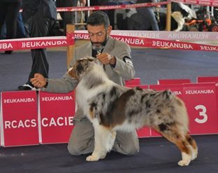 Du Domaine De La Sinoe - Championnat de France Beauté Metz 04/06