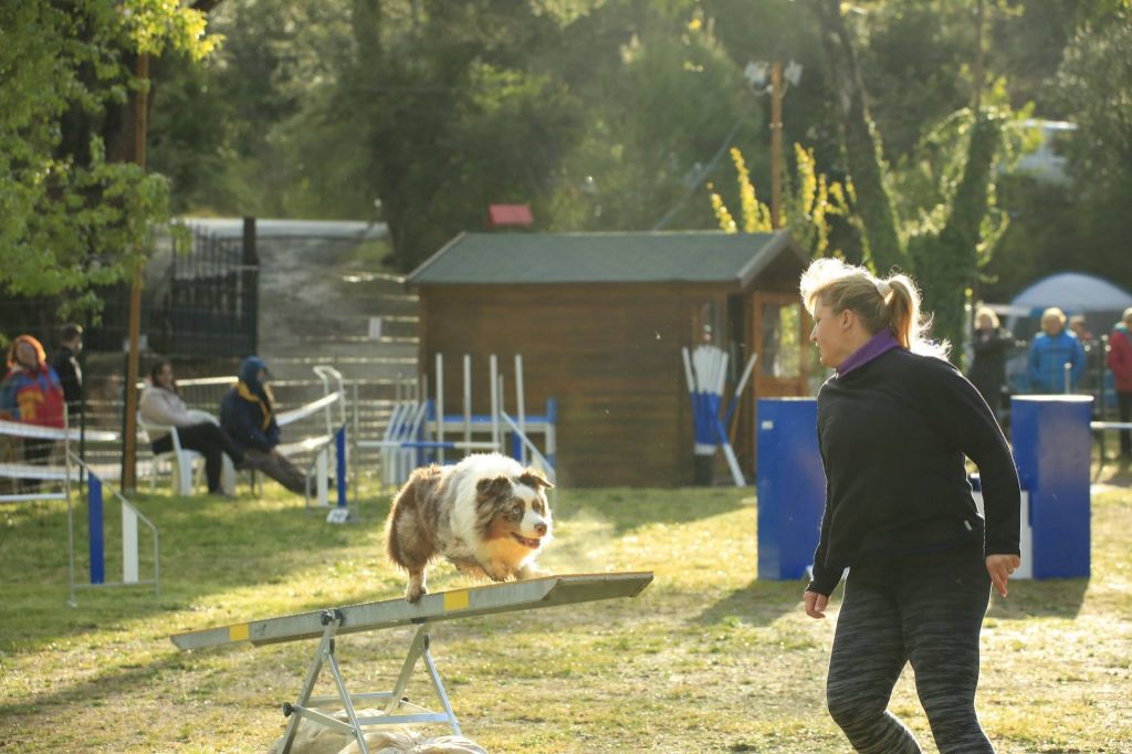 Du Domaine De La Sinoe - Concours Aix en Provence 06/04/19