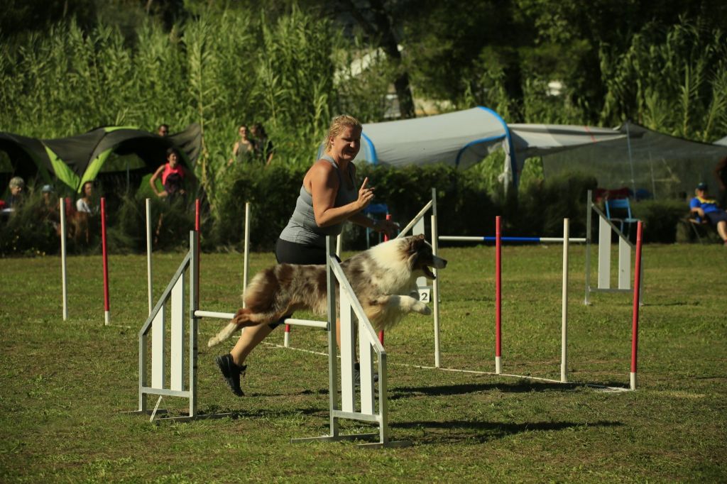 Du Domaine De La Sinoe - Sélectif GPF 29/09/2019