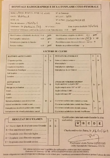 Du Domaine De La Sinoe - Résultats Dysplasie 