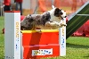  - Championnat de France d'Agility