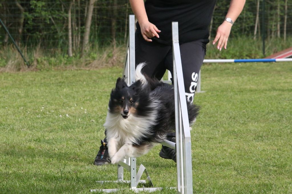 Du Domaine De La Sinoe - Concours Aix en Provence 06/04/19