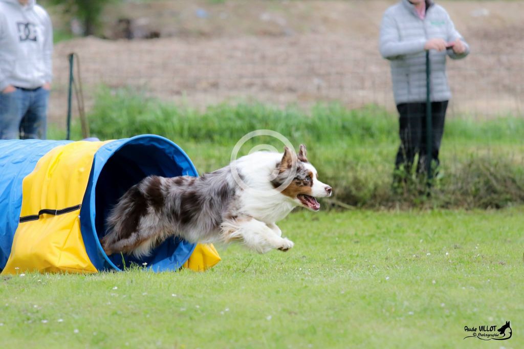 Du Domaine De La Sinoe - Concours La Bouilladisse 13/07/2018