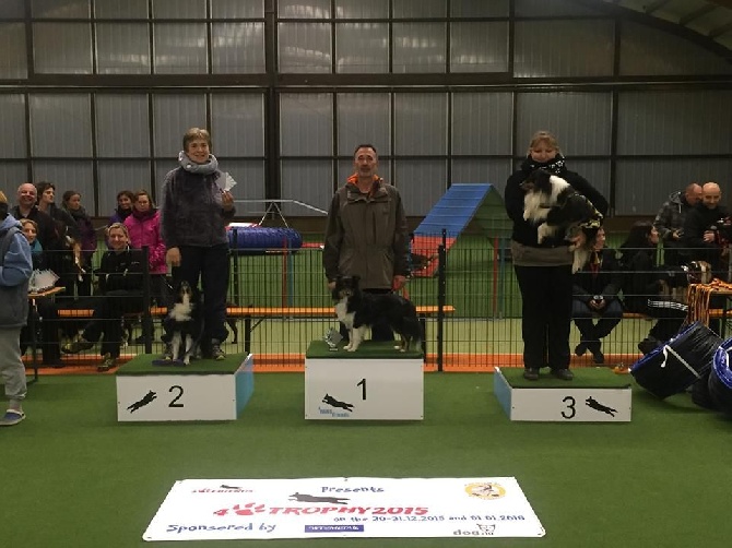 Du Domaine De La Sinoe - 4 Paws Trophy