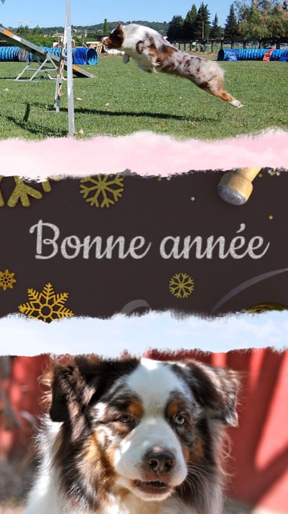 Du Domaine De La Sinoe - Nouvelle année