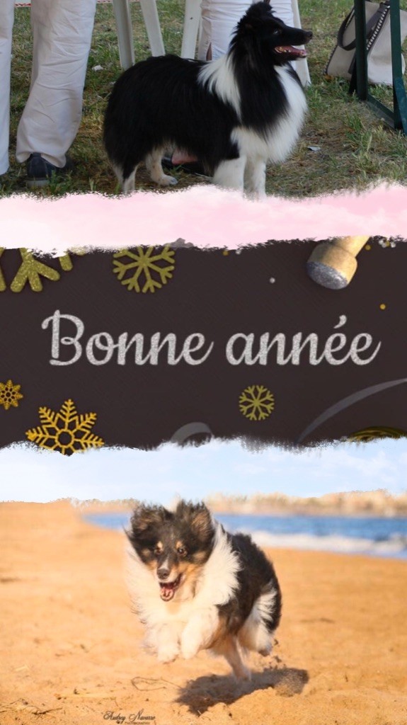 Du Domaine De La Sinoe - Nouvelle année